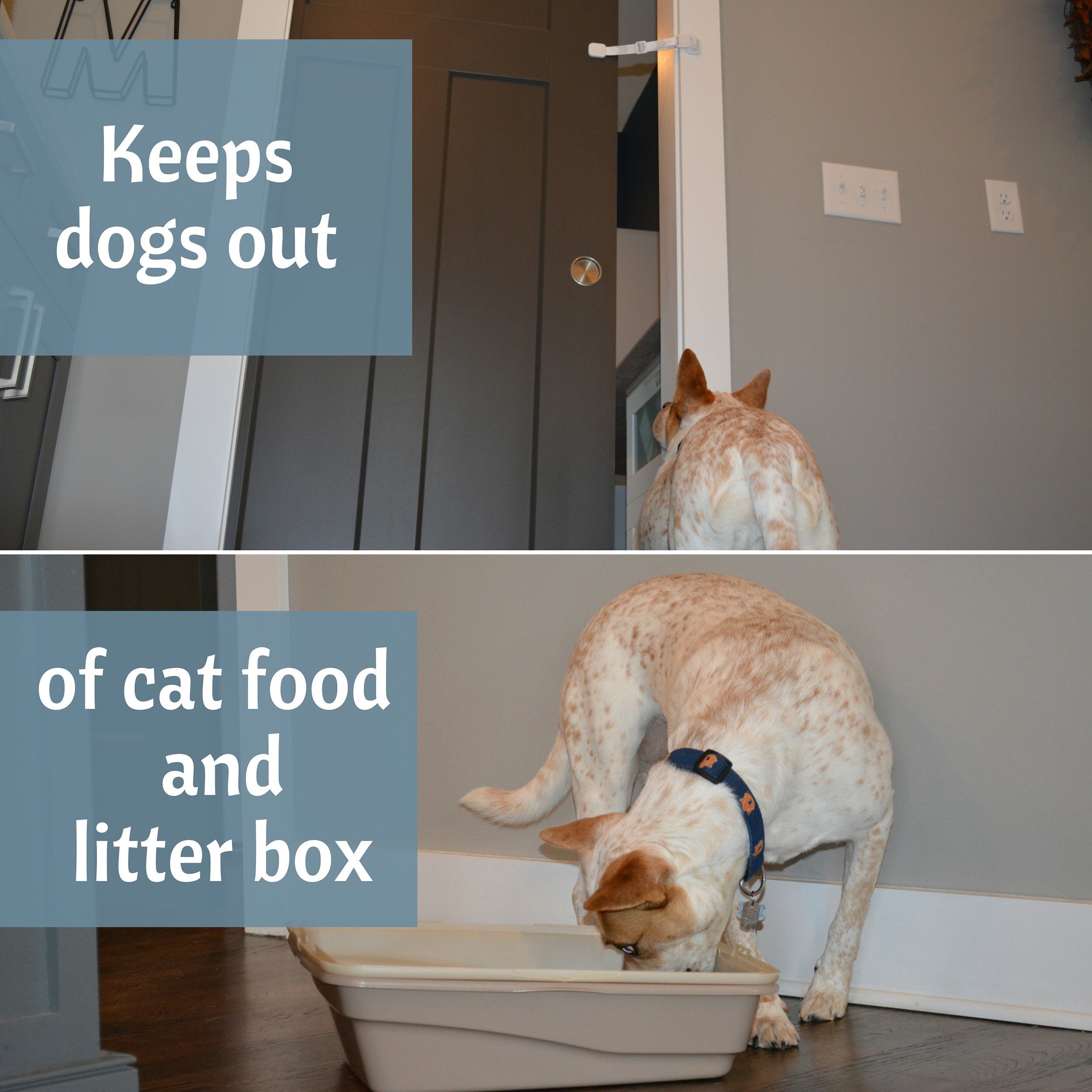 Door Buddy® Door Strap & Latch Lets Cats in Keeps Dogs out Etsy