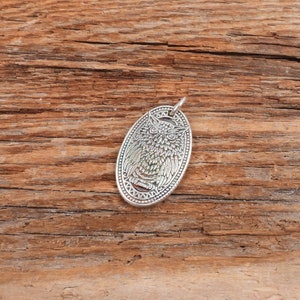 Fine silver owl pendant, oval bird jewelry, fine detail, Irina Miech