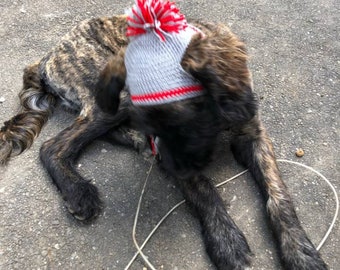 Bonnet d’hiver pour animaux de compagnie, chapeau, chien et chat