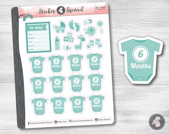 Baby Planner Stickers | Milestone Onesie Stickers