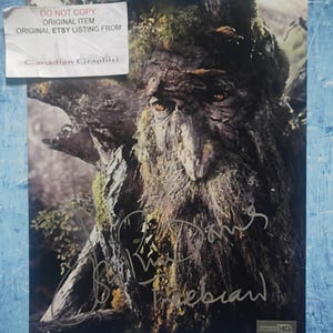 Può includere: Una stampa firmata raffigurante una creatura simile a un albero con una lunga barba e una consistenza muschiosa. La stampa include il testo "Do Not Copy Original Item Original Etsy Listing From Canadian Graphiti."