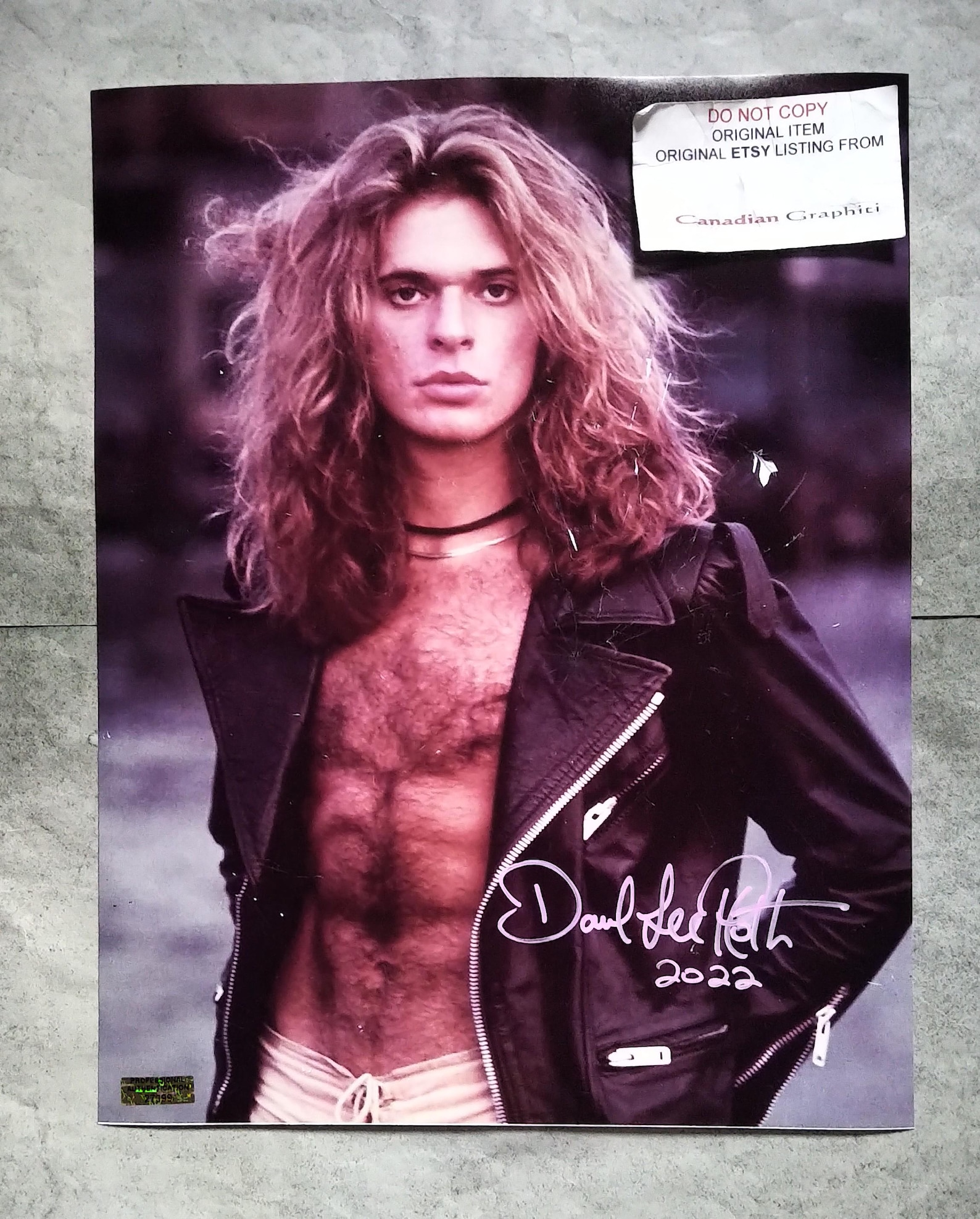David Lee Roth Hand Signed Autograph 11x14 Photo COA Van Halen - Etsy
