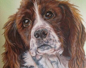 Pet portraits --- (CUSTOM PET COMMISSIONS!) Watercolor - dogs cats horses birds parrots fish
