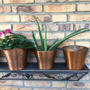 Könnte beinhalten: Drei Kupfer-Pflanztöpfe mit gehämmerter Oberfläche. Die Töpfe sind in einer Reihe auf einem schwarzen Regal angeordnet. Die Töpfe sind mit Pflanzen gefüllt, darunter eine grüne Aloe-Vera-Pflanze und eine pinkfarbene blühende Pflanze.
