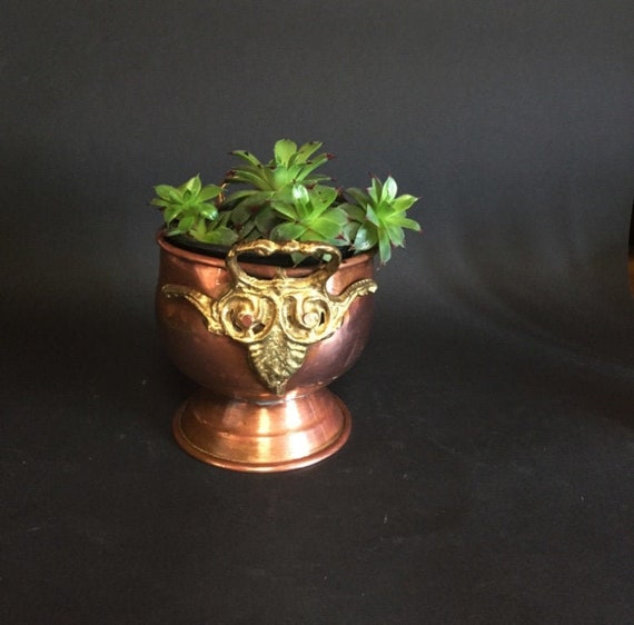 銅製 バケツ ポット フラワーポット 2個セット フランス アンティーク