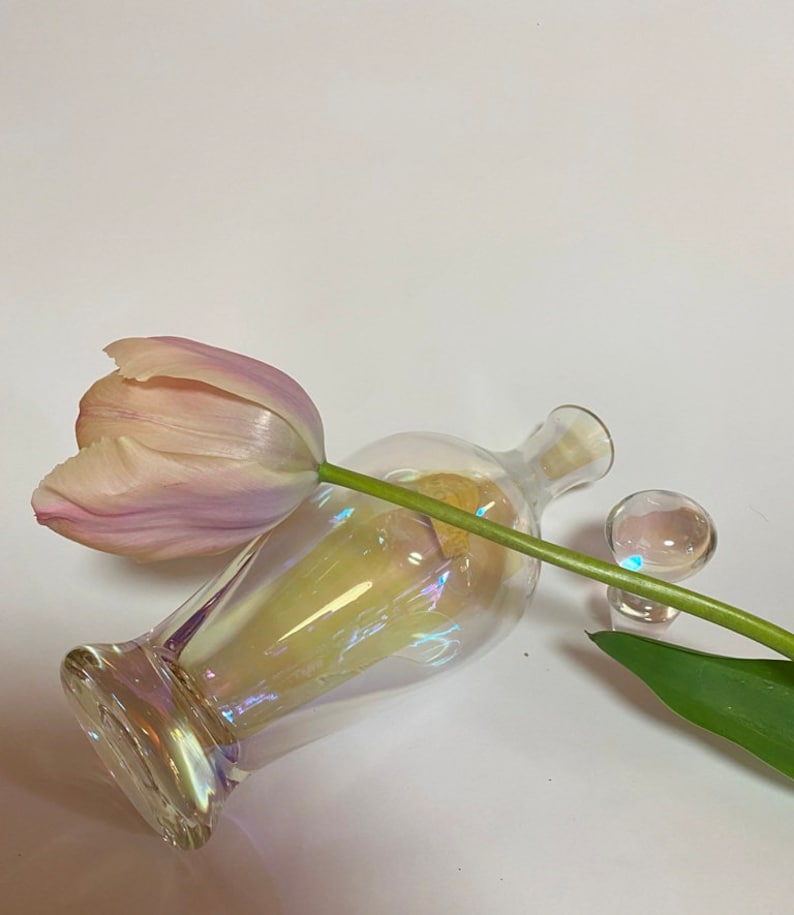May include: A clear iridescent glass bottle with a single pink tulip inside. The bottle has a round, bulbous base and a long, slender neck. A small, clear glass stopper sits next to the bottle.