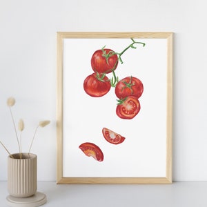Tomato art print fruit drawing tomato illustration print vegetable kitchen decor kitchen tomato wall art trendy tomato art print