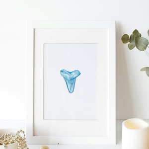 Shark tooth art print, coastal blue decor, nautical wall art, digital shark tooth print, coastal wall art, watercolor blue beach house decor