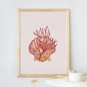 Seashell art print, seashell wall art, beach wall art, summer art print beach painting, beach housewarming, coastal artwork, shell painting