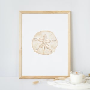 Sand dollar art print, beach wall art, coastal print watercolor painting sand dollar wall art, cottage art, print nautical art print