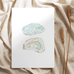 Puede incluir: Dos acuarelas de conchas de ostras. Las conchas est&aacute;n abiertas y muestran el interior de la ostra. Las conchas est&aacute;n pintadas en tonos de azul, verde y marr&oacute;n.