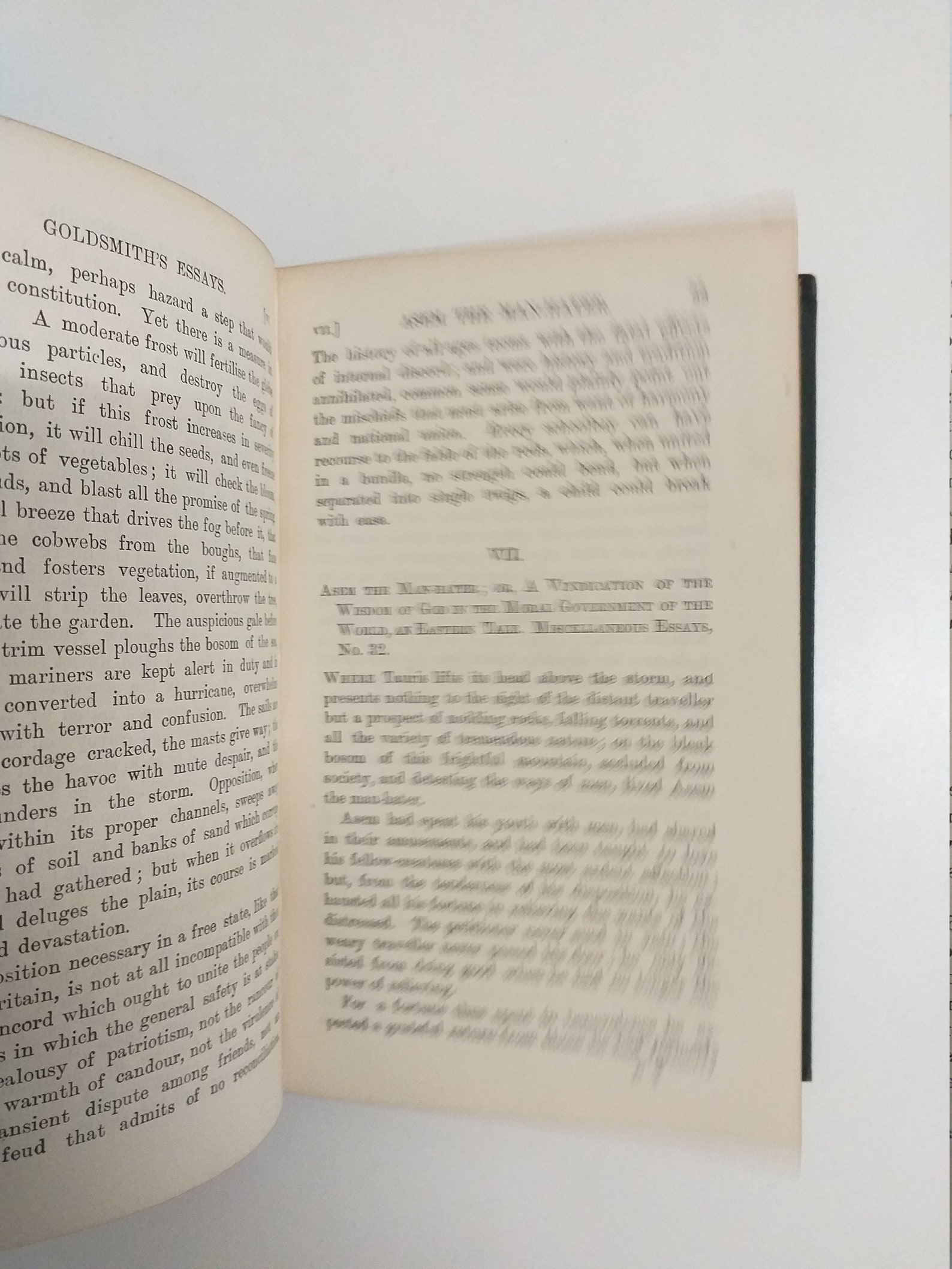 A pocketful of essays pdf picture