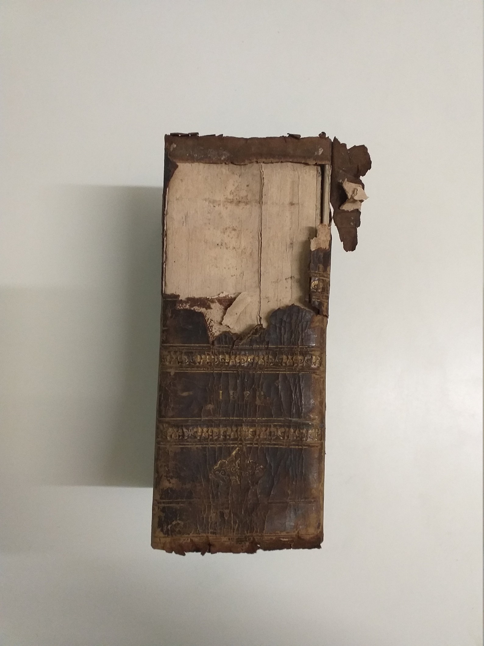 Antique medical book 1828 rare. The MedicoChirurgical Etsy