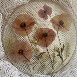 Arte con resina de amapola prensada auténtica | Decoración botánica para pared | Obra de arte floral hecha a mano con resina epoxi | Detalle único de naturaleza para el hogar