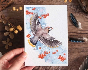 Bird watercolor illustration - Bohemian waxwing in flight - Poster to frame - Winter decoration, nature