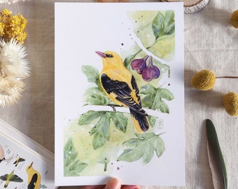 Bird watercolor illustration - European oriole in a fig tree - Card, poster to frame - small and medium format - summer decoration