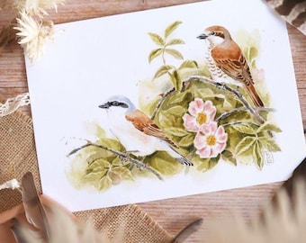 May include: Watercolor painting of two birds perched on a branch with pink flowers and green leaves. The birds have brown, gray, and white feathers. The artwork is on white paper, with feathers and dried flowers in the background.