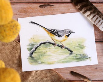 May include: Watercolor painting of a gray and yellow bird perched on a branch above water. The bird has a long tail and is set against a soft green and yellow background. The artwork is on white paper, with a wooden background.