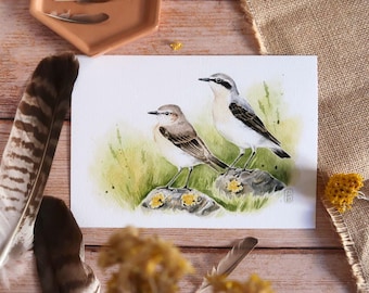 May include: Watercolor painting of two birds perched on rocks, set against a backdrop of green and yellow foliage. The birds have gray, white, and brown feathers. The artwork is displayed with feathers and a small dish on a wooden surface.