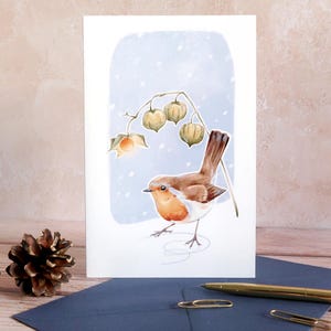 Carte de vœux | Rougegorge et physalis | Carte hiver, nouvelle année, Noël | Avec enveloppe | Emballage sans plastique