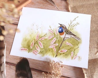 May include: Watercolor painting of a Bluethroat bird perched on a branch with pink and green foliage. The bird has a blue throat, orange chest, and gray and brown feathers. The artwork is on white paper.