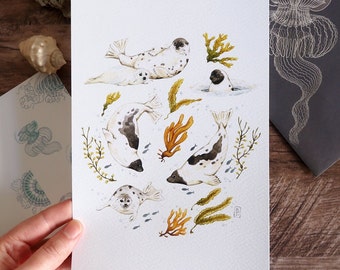 Watercolor illustration - Composition of harp seals and algae - To be framed - Naturalist decoration, marine theme, animals