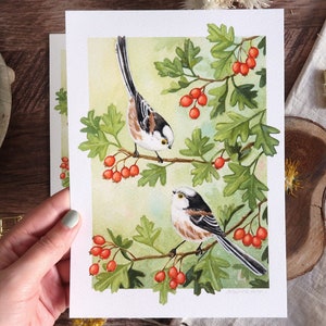 Aquarell-Illustration - Schwanzmeise - rahmenbar - Kunstdruck, Wanddekoration im Landhausstil, Vögel, Natur