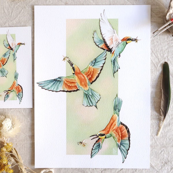 Watercolor illustration Birds - European bee-eaters - To frame - Original gift for ornithology enthusiasts, summer decoration