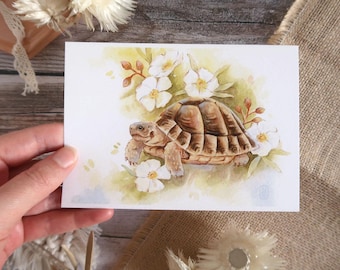Illustrated poster | Watercolor - Hermann's tortoise and Montpellier rockrose | A6, A5 | Summer decoration, Provençal style
