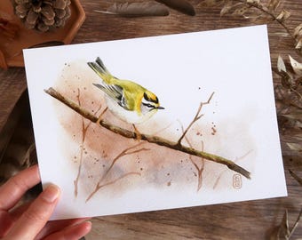 May include: Watercolor painting of a small bird perched on a branch. The bird has yellow, green, and white feathers. The background features soft brown and beige tones, with a few small branches and splatters.