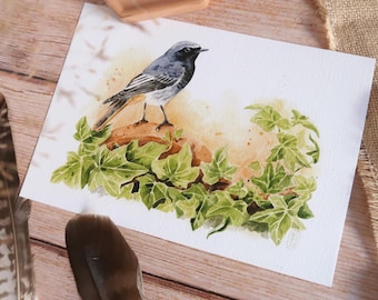 May include: Watercolor painting of a small bird with black and gray feathers perched on a brown rock, surrounded by green ivy. The background has a soft, warm, orange and yellow wash.
