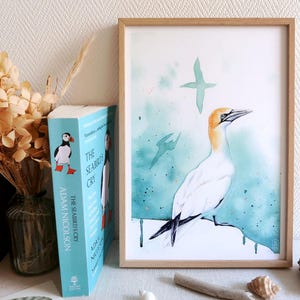 Affiche illustrée Fou de Bassan | Impression d'art aquarelle | A6, A5, A4 | Décoration murale bord de mer | Cadeau ornithologie