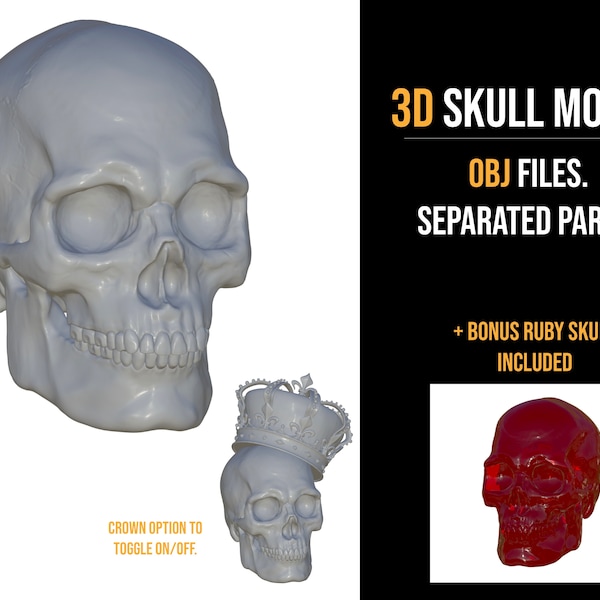 Procreate 3D Skull OBJ File Human Skull Reference, 3D Model, Tattoo Body, Human Anatomy, 3D