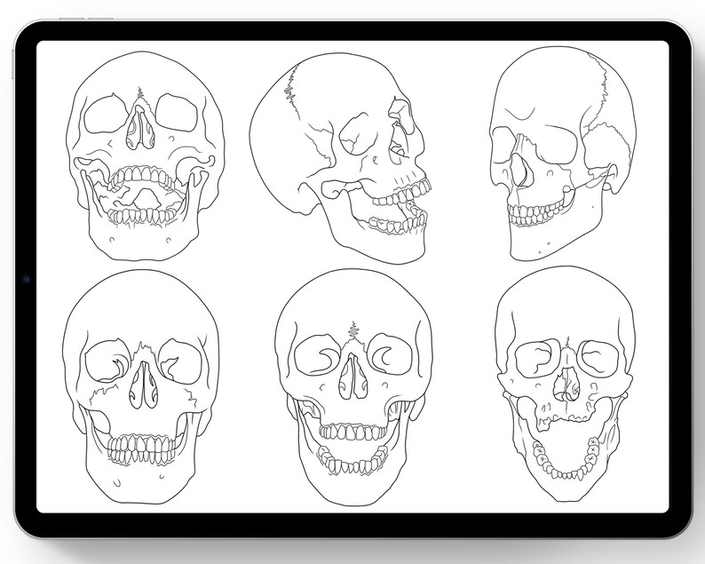 Procreate Essential Tattoo Stencils Vol 1 Etsy