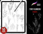 Procreate fineline tattoos, delicate, floral pattern, minimal, botanical flower outlines