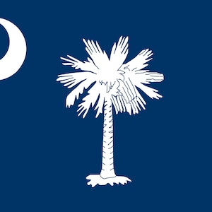 South Carolina State Flag Adhesive Decal, vinyl stickers