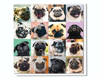 Birthday Card Pugs