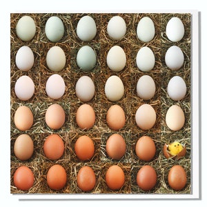 Biglietto di auguri di Pasqua