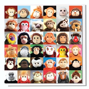 Carte d'anniversaire Singes