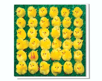 Birthday Card Cute Chicks