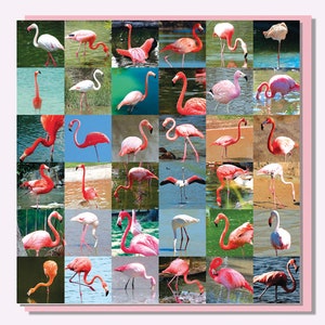 Birthday Card Flamingos image 1
