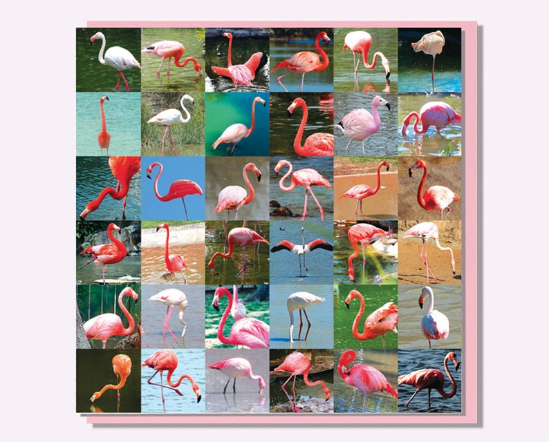 Birthday Card Flamingos image 1