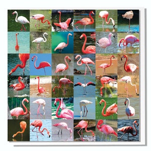 Birthday Card Flamingos image 7