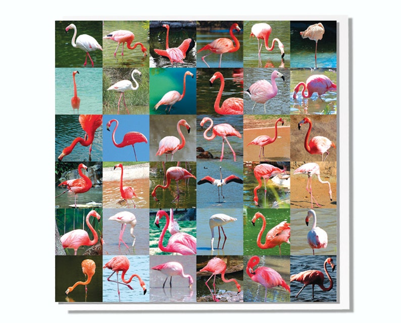 Birthday Card Flamingos image 7