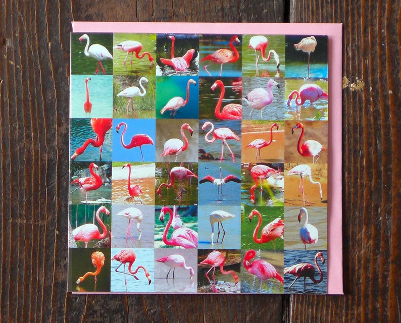 Birthday Card Flamingos image 3