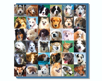 Dog Lovers Card