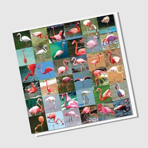 Birthday Card Flamingos image 5