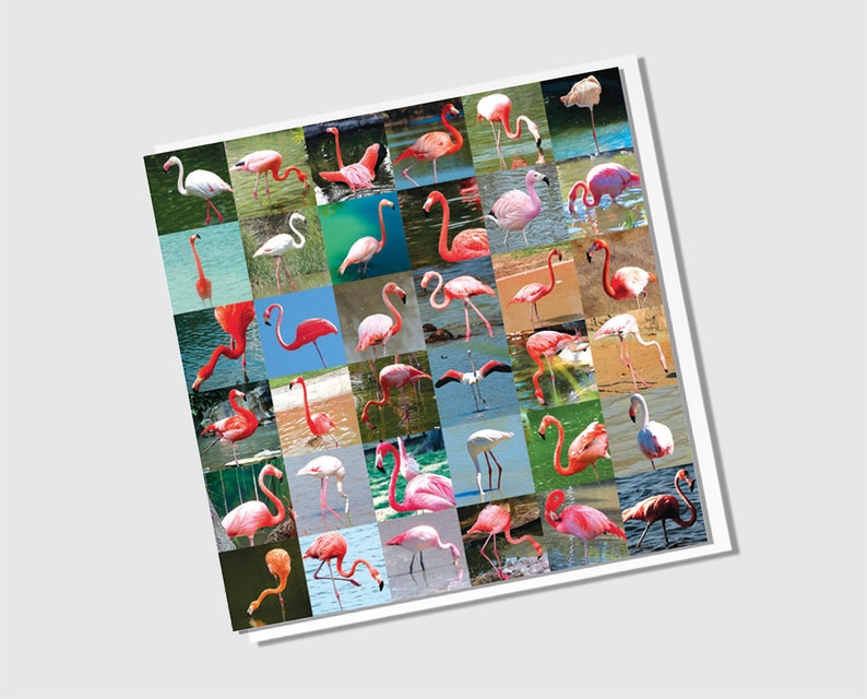 Birthday Card Flamingos image 5