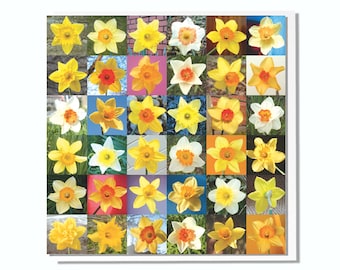 Spring Card Daffodils