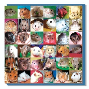 Niedliche Hamster Karte